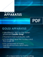 Golgi Apparatus