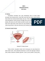 VESIKOLITIS