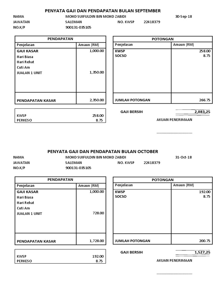 Penyata Gaji Dan Pendapatan PDF