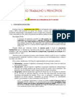 Apostila 2 - Prinicpios Especiais Do Direito Do Trabalho - Parte 1