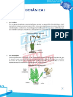 Botánica I – Resumen Teórico y Dirigidas.pdf