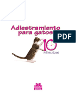 Adiestramiento Gatos