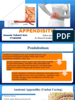 Apendisitis: Penyebab, Gejala, Diagnosis dan Penanganannya