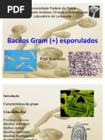 Bacilos Gram Positivos Esporulados