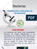 Clasificación y estructura de las bacterias