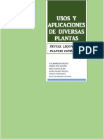 Proyecto Plantas - Maya PDF