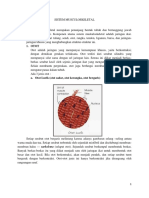 SISTEM MUSCULOSKELETAL 2.docx