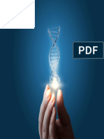 Diplomado Bioetica Desde La Perspectiva de La Equidad y El Desarrollo