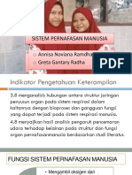 Sistem Pernafasan Manusia