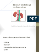 Anatomi, Fisiology & Patofiologi Sistem Perkemihan: Ns. Kristina Everentia Ngasu, Se, Skep, Mkep