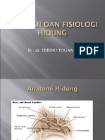 244813685-Anatomi-Dan-Fisiologi-Hidung.ppt