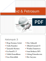 Petrosum Mastoid