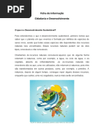 Ficha de Informação_DS_7º Ano