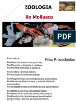 4t.-mollusca-2014.pdf