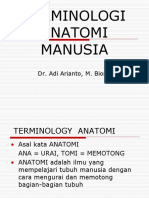 TERMINOLOGI ANATOMI MANUSIA