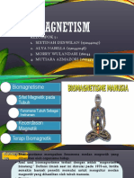 Bio Magnetism
