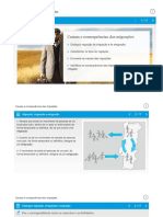 Causas e Consequências Das Migrações