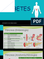 Fisiologia Diabetes Mellitus