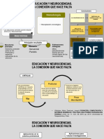 Educación y Neurociencias