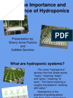 The Importance and Science of Hydroponics