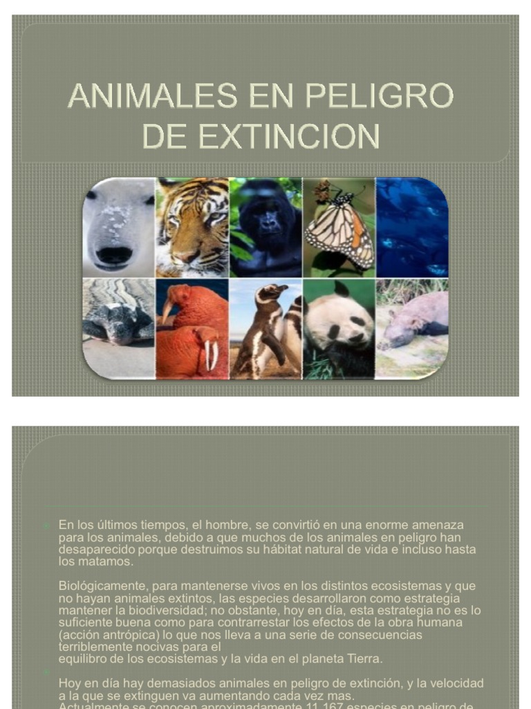 Animales en Peligro de Extincion PDF