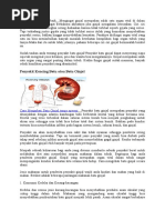 Obat Batu Ginjal Terbaik