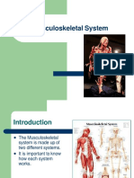Musculoskeletal System 1206665862676641 3