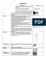 Perspectiva en la infografía de moda