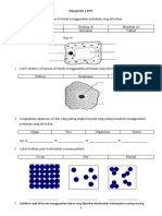 PRAKTIS 1.1 PPT