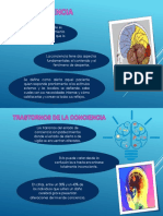 PPT