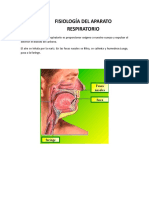 Fisiología Del Aparato Respiratorio