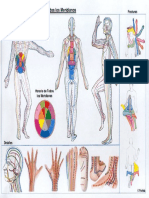 meridiano_5E.pdf