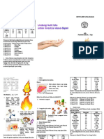 Leaflet Diit Luka Bakar