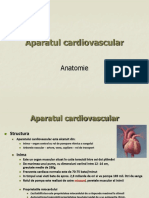 Prezentare aparat cardiovascular4