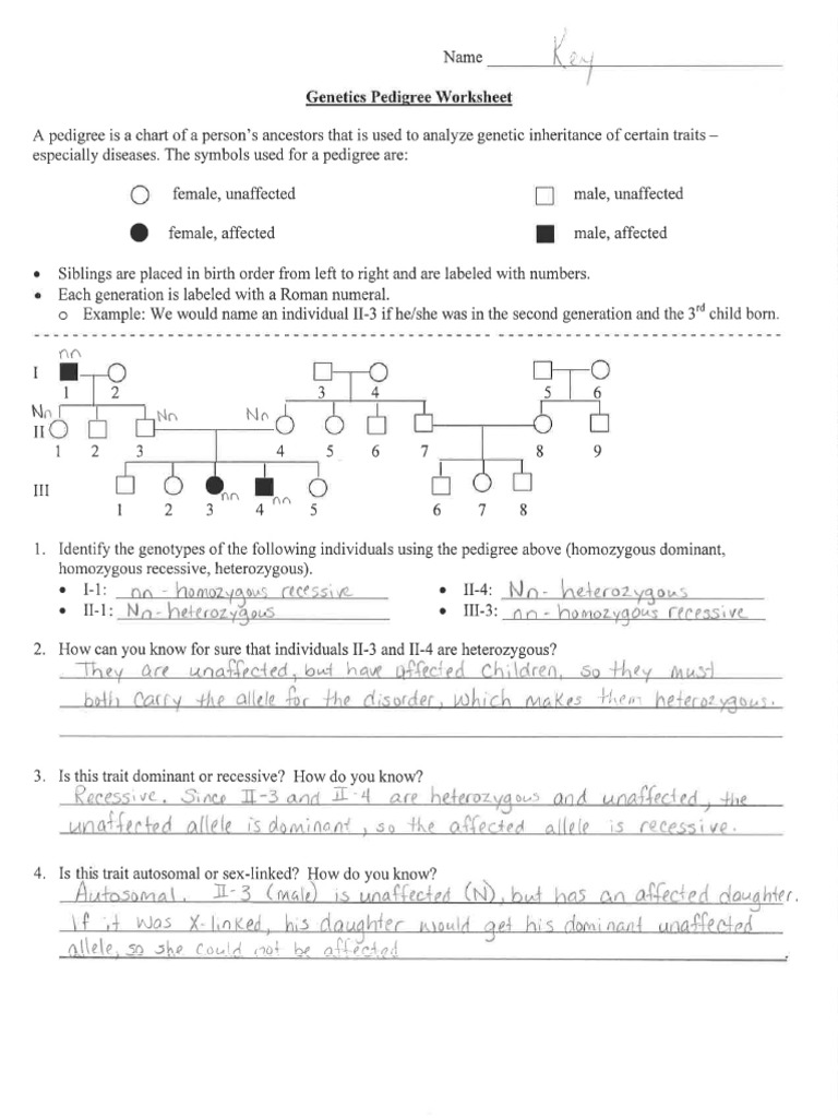 Genetics Pedigree Worksheet  PDF Within Genetics Pedigree Worksheet Answers