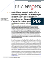 Microbiome Analysis