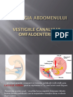 PATOLOGIA ABDOMENULUI-c Vitelin, Uraca, Omfalita, Omfalocel, Laparoschizis