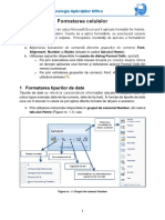 Curs 1 Formatarea Celulelor in Excel