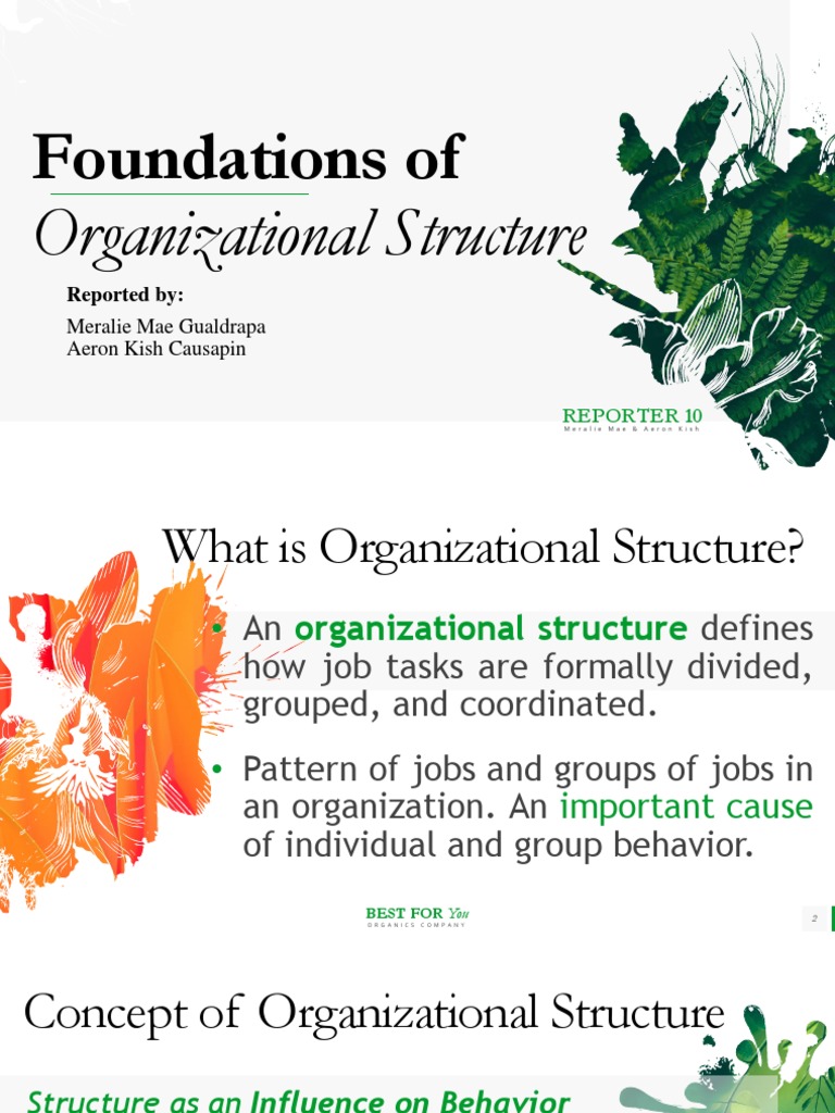 Foundations of Organizational Structure Organizational Structure