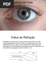Biofisica Da Visao