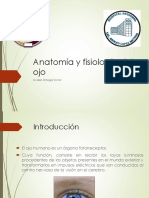 Presentación Anatomia y Fisiologia Ojo