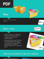 Computer Files | PDF | Computer File | File Format