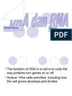 DNA, Nucleic Acid FK Uki