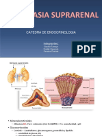 Endocrino hiperplasia suprarenal