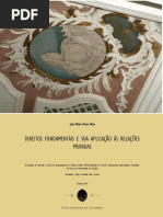 Direitos Fundamentais e Sua Aplicacao as Relacoes Privadas