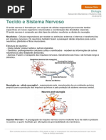 Sistema Nervoso Descomplica