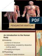 Kuliah I Dasar Anatomi