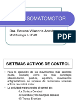 Fisiología Del Sistema Somatomotor - Dra. Villacorta