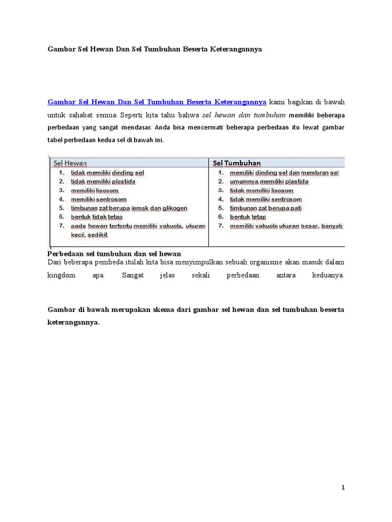 85 Gambar Sel Hewan Dan Tumbuhan Beserta Keterangan Nya Terbaik