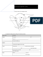 Name: Zhao Xinyu Worksheet On Plant Reproduction (Science Upper Block, Cycles) Prepared by Austin